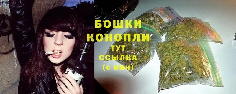 МАРИХУАНА SATIVA & INDICA  гидра ТОР  Микунь  как найти  